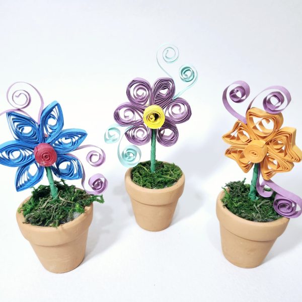 20241207_100035 - ivy22 Kwong